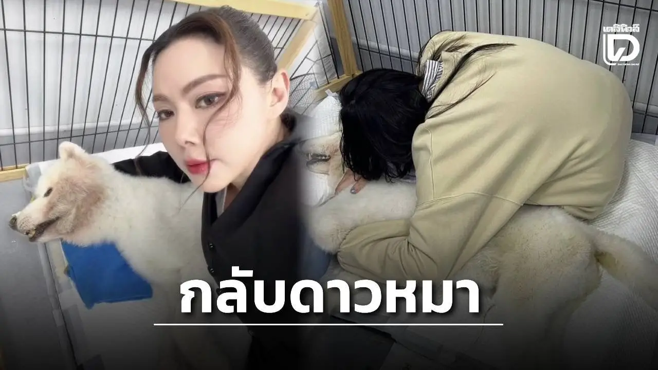‘บุ๋ม ปนัดดา’ แจ้งข่าวเศร้า ‘น้องปูนึ่ง’ กลับดาวหมา สุดเสียใจติดภารกิจดูใจไม่ทัน