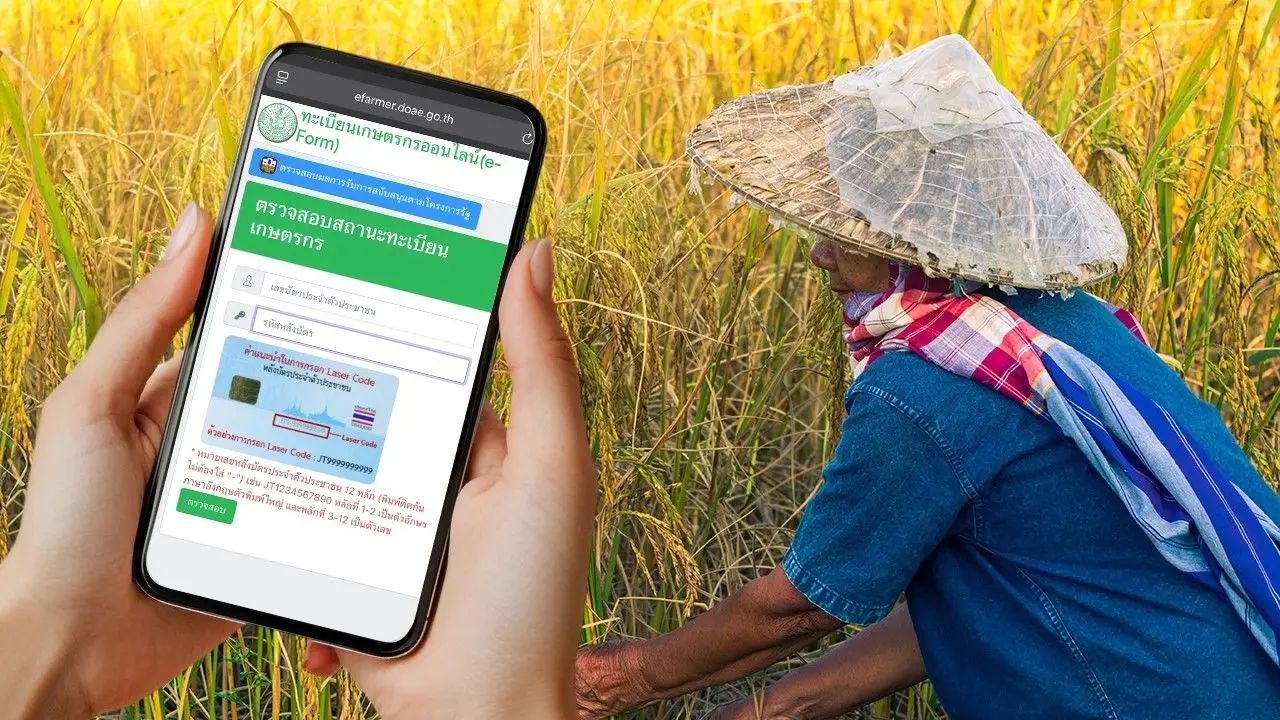 ช่องทางเช็กสิทธิ เงินช่วยเกษตรกรไร่ละ 1,000 https://efarmer.doae.go.th/checkFarmer