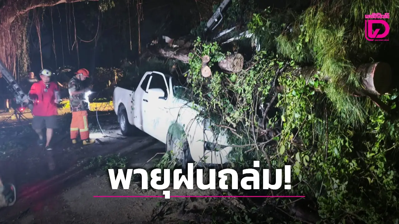 พายุฝนถล่มเชียงใหม่ ลมกระโชกซัดเสาไฟ ต้นไม้โค่นทับบ้านเรือน รถพังเสียหายยับ!