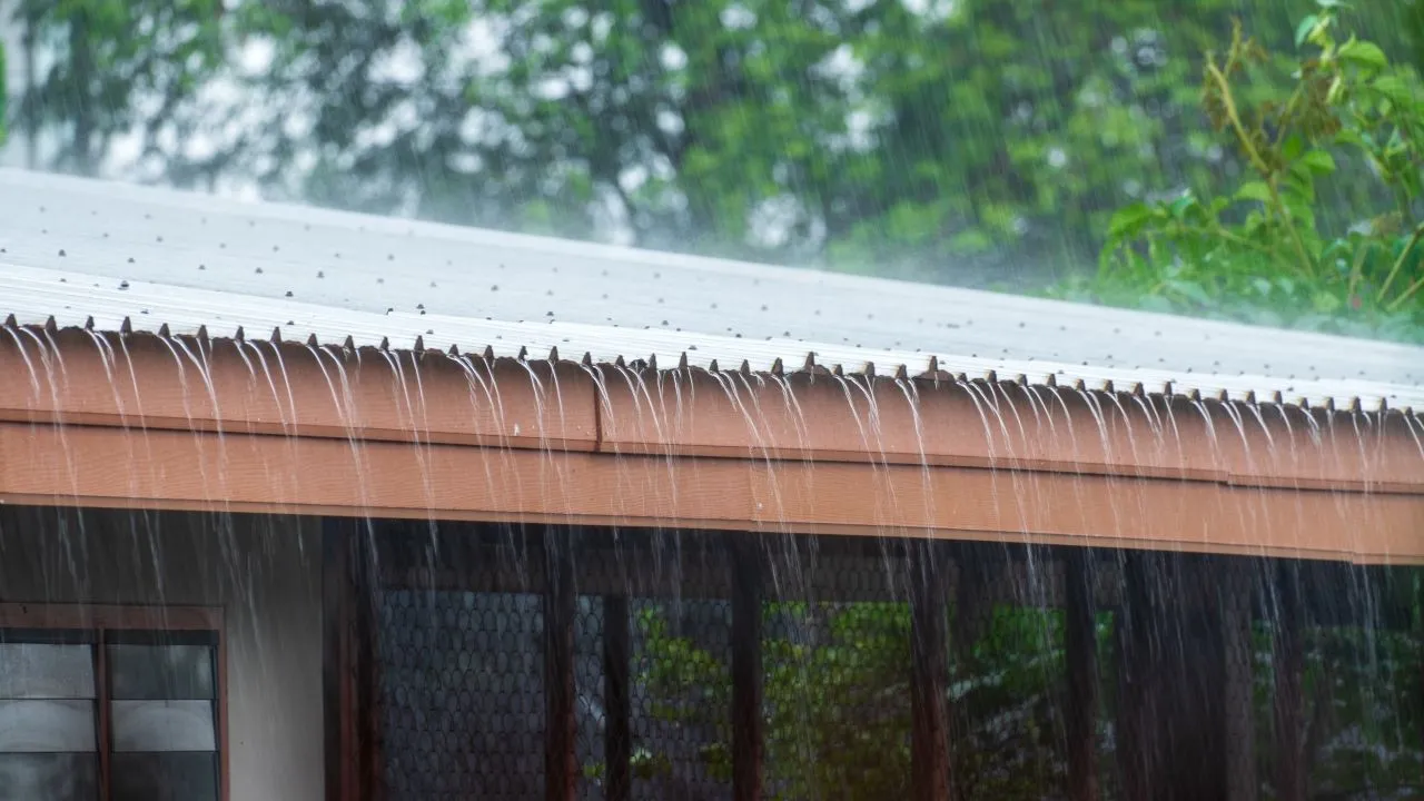 อุตุฯ ฉบับ 5 เช็กพื้นที่ฝนตกหนัก ทะเลอันดามัน อ่าวไทย คลื่นสูง 2-4 เมตร