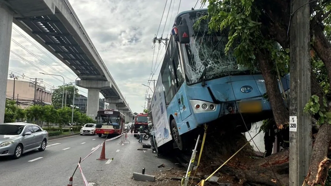 บาดเจ็บ 10 ราย 'รถเมล์ปรับอากาศ' เสียหลักพุ่งขึ้นทางเท้า ชนต้นไม้ริมถนนลาดพร้าว