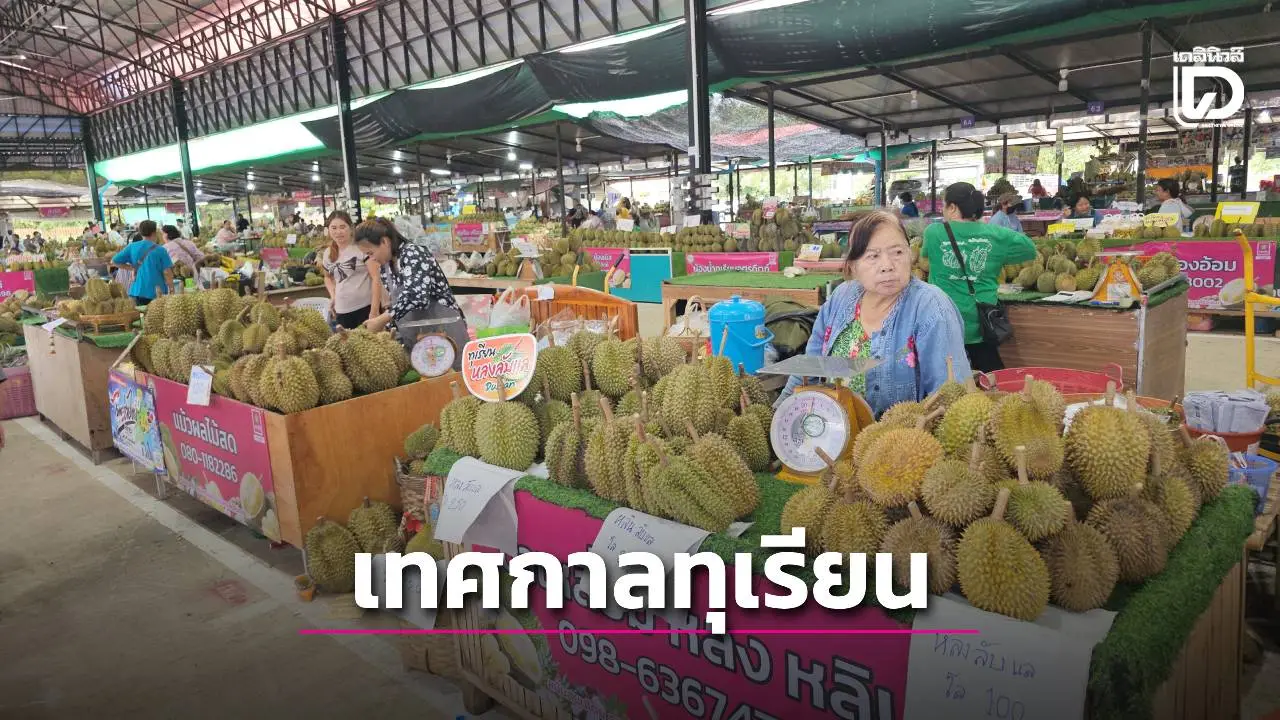 เริ่มแล้วเทศกาลทุเรียนหลง-หลินลับแล 2569 ชูทุเรียน GI พรีเมียม