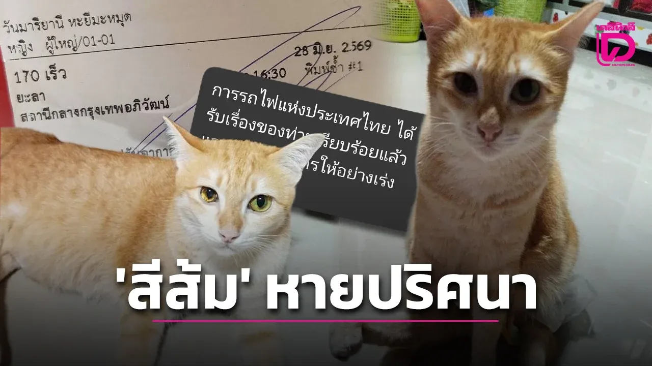 สะเทือนใจ! ‘สีส้ม’ แมวพิการหายปริศนาบนรถไฟ หลังจนท.สั่งแยกเข้าตู้สัมภาระ