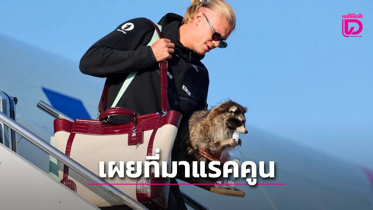 เผยที่มา ‘แรคคูนขี้เมา’ เพื่อนใหม่ ‘ฮาลันด์’ ราคา 2.5 หมื่น ชวนชาวเน็ตโหวตตั้งชื่อ