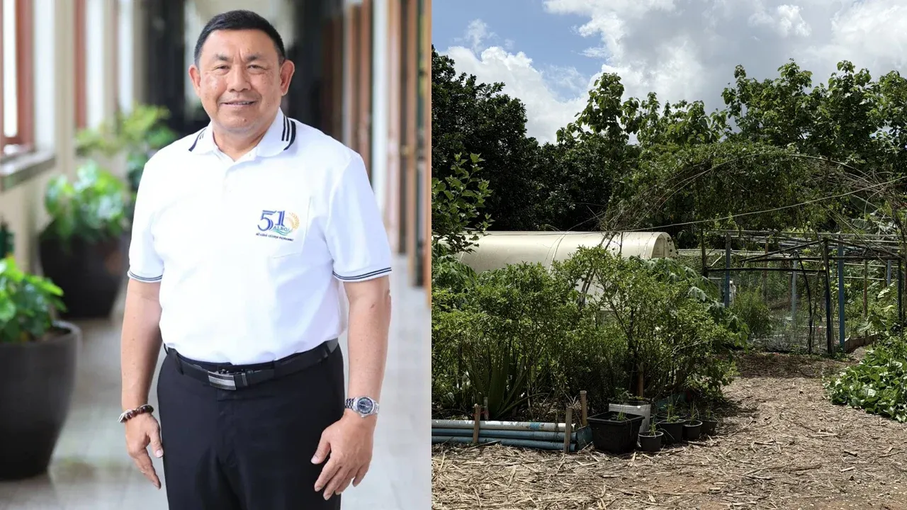 ส.ป.ก. พลิกผืนป่าเสื่อมโทรม 'วังท่าช้าง' หนุนพัฒนาอาชีพ สร้างรายได้ที่ มั่นคงให้เกษตรกร