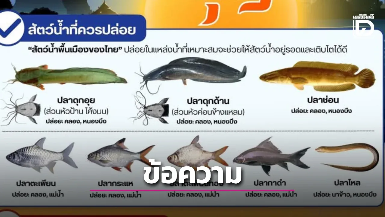 เข้าพรรษานี้ กรมประมงชวนสายบุญ ‘ปล่อยปลาไทย’ ให้เหมาะสม