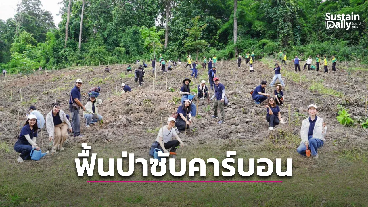เซ็นทรัลพัฒนา ฟื้นป่าดูดซับคาร์บอน สู้ PM 2.5