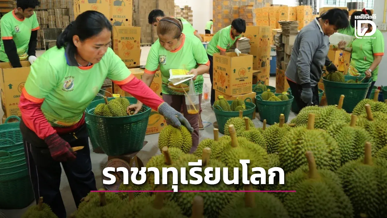 'ราชาทุเรียนโลก'ไทยจะรักษาความเป็นผู้นำได้อย่างไรในอีก 5–10 ปี