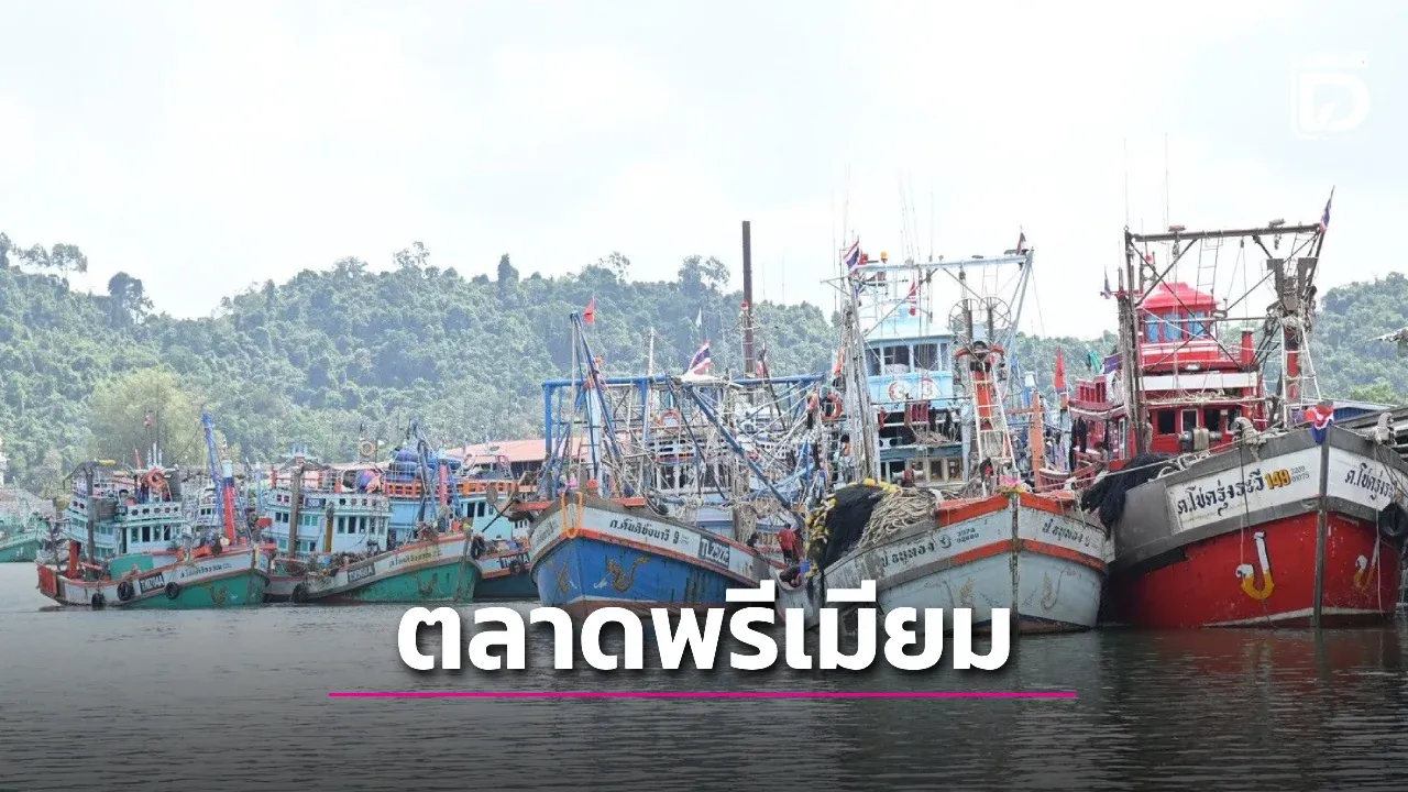 เดินหน้าปั้น 'ตลาดปลาพรีเมียม' ฟื้นเศรษฐกิจประมงไทย