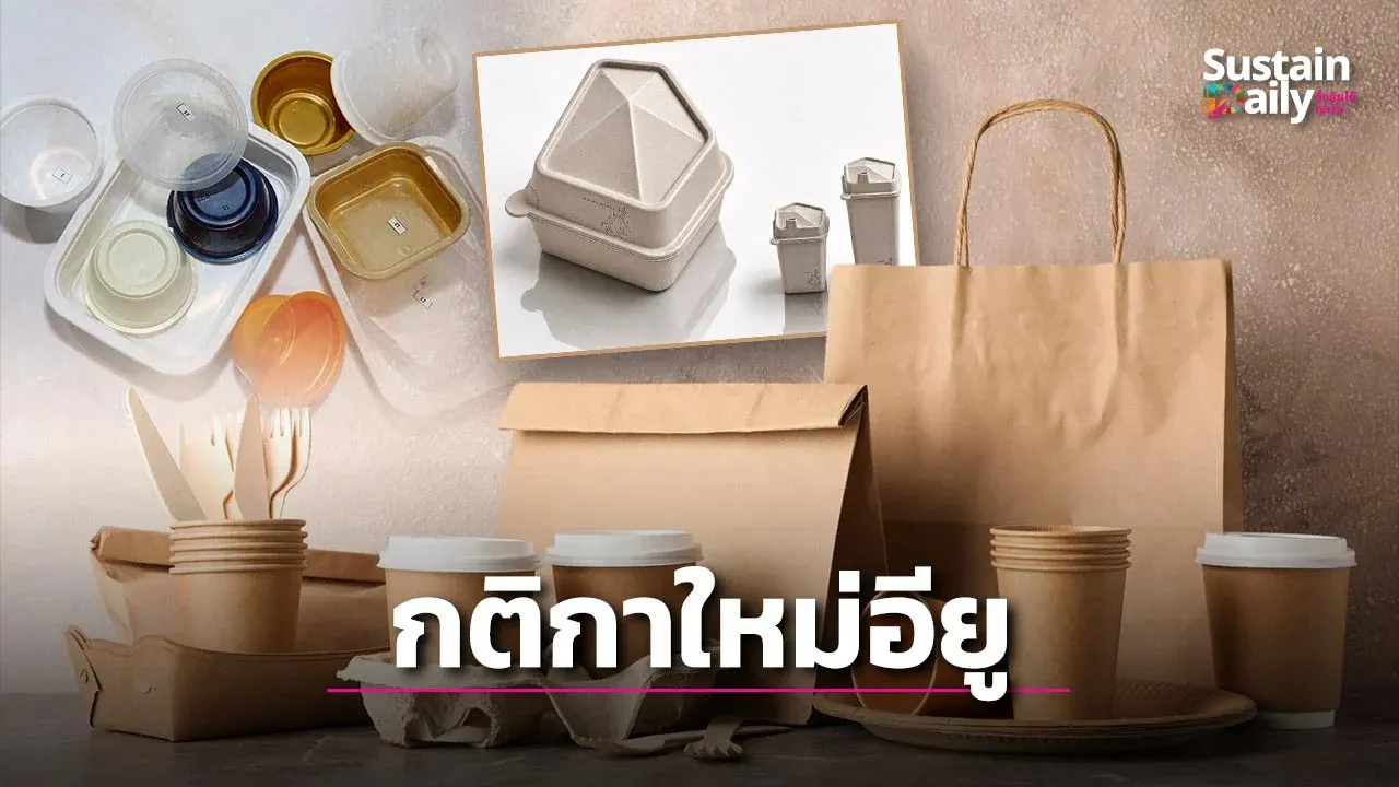 12ส.ค.นี้ อียูประกาศกฏ PPWR แพ็กเกจฯส่งออกต้องรีไซเคิลได้