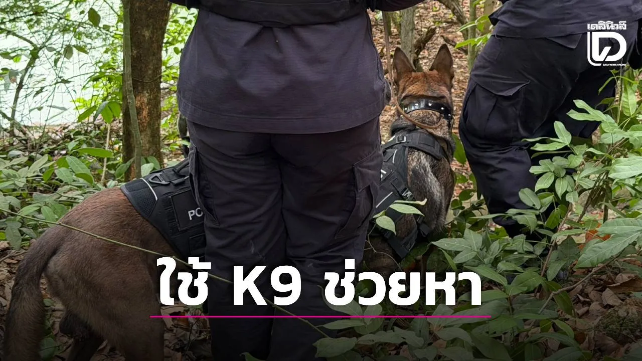 ‘ตำรวจ-ปกครอง’ ใช้ K9-โดรนลุยป่า หาหลักฐานต่อเนื่อง คดีสองพี่น้องรัสเซียหายปริศนา