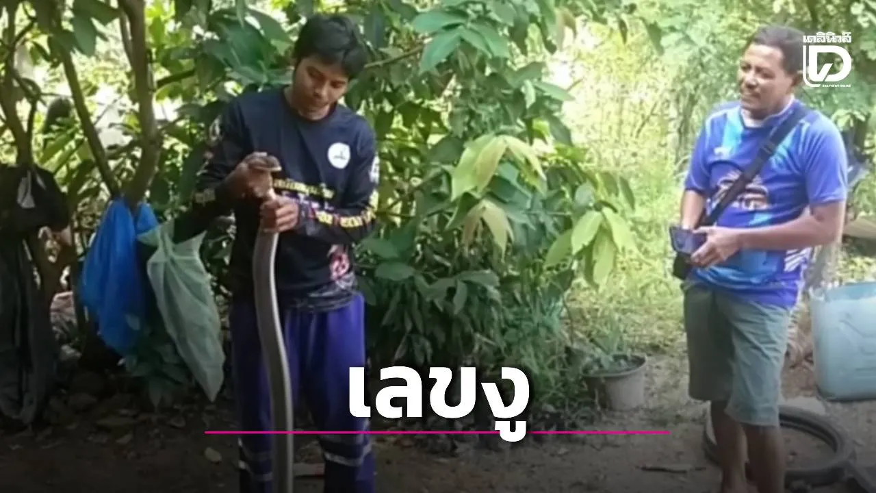 ฮือฮา! จับ'บองหลายักษ์'ซุกใต้หลังคาบ้าน เซียนหวยไม่พลาดตีเลขเด็ดลุ้นงวด 1/8/69