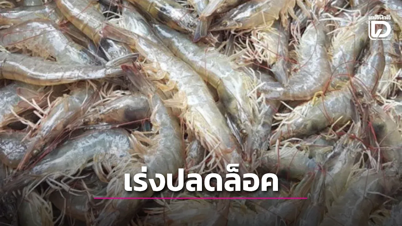 เร่งปลดล็อกค้ากุ้งไทย-ปลากะพงมาเลเซีย ลุ้นเปิดตลาดตามแผนภายใน 30 วัน