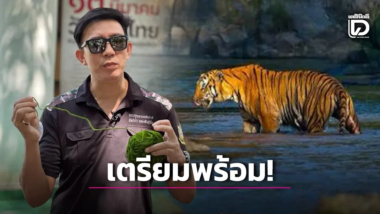 เผยความคืบหน้าเคสเสือโคร่ง ‘หมอล็อต’ ย้ำทีมพร้อมแล้ว ชี้ทุกขั้นตอนอยู่ภายใต้สวัสดิภาพสัตว์ป่า