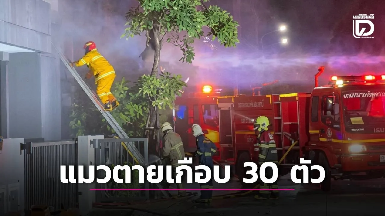สลด! ไฟไหม้บ้านหรูกลางดึกย่านนทบุรี สองผัวเมียเสียชีวิตพร้อมแมวเกือบ 30 ตัว