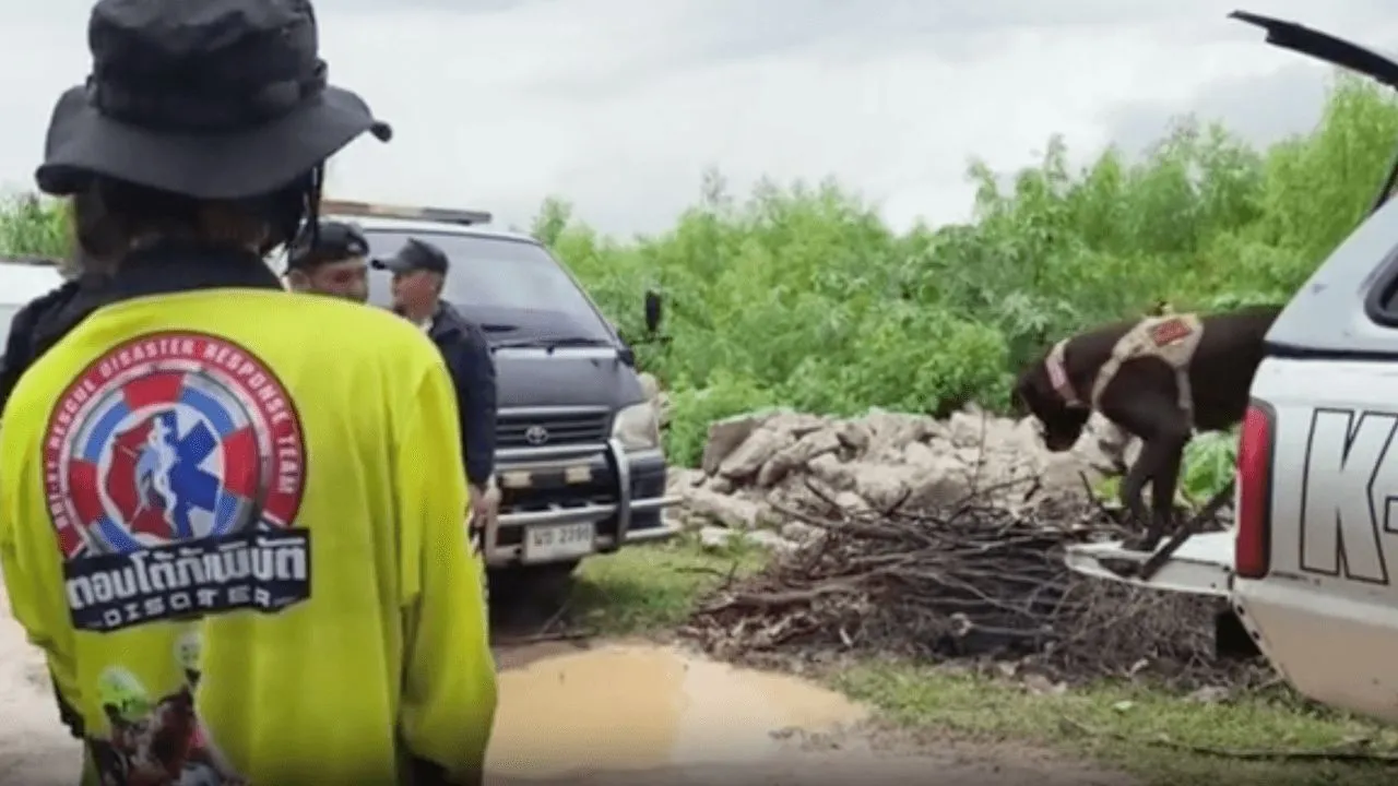 ระดมกำลังเจ้าหน้าที่ นำสุนัข K9 ช่วยค้นหา หญิงวัย 41 หายในป่าทาม