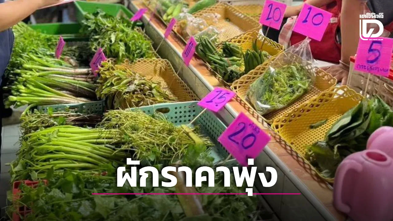 ผักสดราคาพุ่งสูง! ตลาดพิษณุโลกโอด 'แพงยกแผง' หวั่นเทศกาลกินเจดันราคาซ้ำ