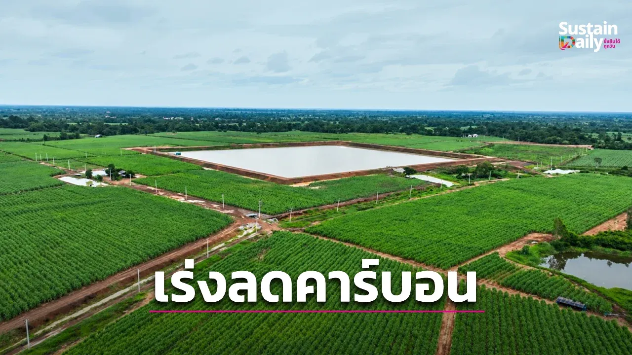 อุตสาหกรรมน้ำตาลเร่งลดคาร์บอนรับโจทย์โลกร้อน-กติกาโลก